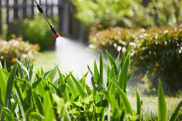 24/7 Emergency Mosquito Control experts in Waterville, MN